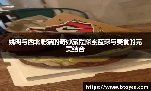 XK星空体育官网