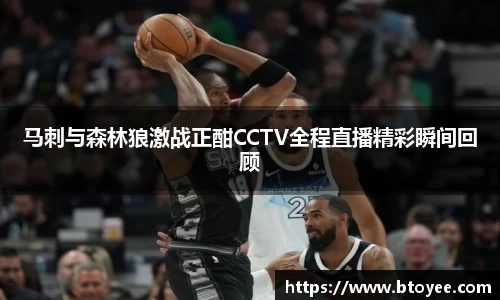 XK星空体育平台