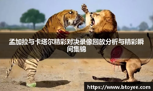 XK星空体育官网
